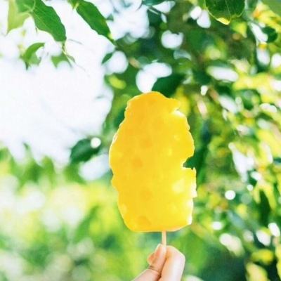 侍忍者bt版下载
